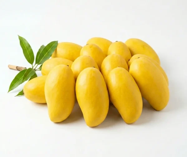 Sindhri Mango (Pakistan) (Box) 🇵🇰 – Premium Pakistani Sindhri | Honey Sweet Fresh Mangoes Dubai - Box (5.7 to 6 KG)