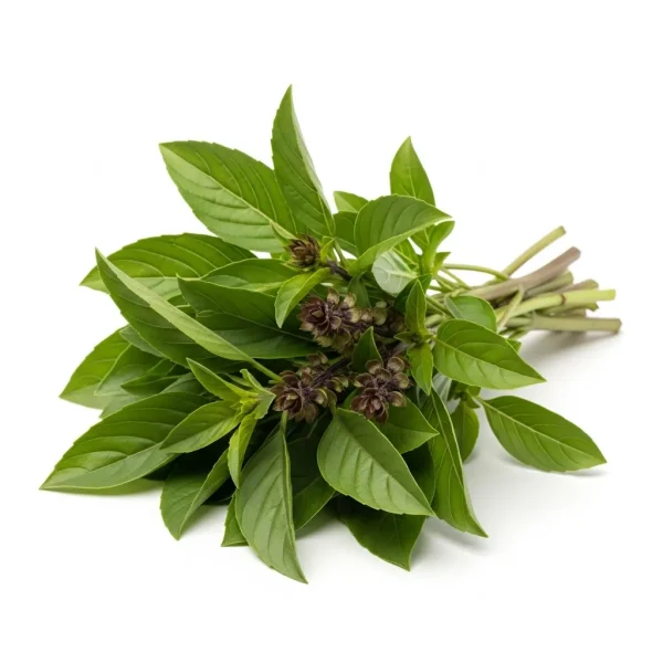 Fresh Thai Basil Leaves 🇹🇭 – Authentic Thailand Origin | Buy Herbs Online UAE