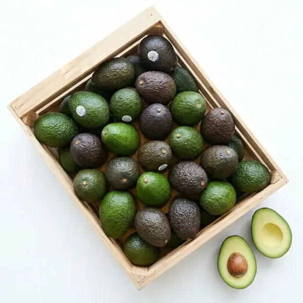Fresh Hass Avocado 🇺🇸 – Premium USA Imported | Creamy Superfood Fruit UAE