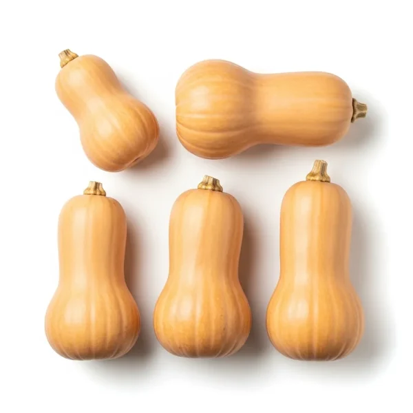 Fresh Butternut Pumpkin 🇳🇱 – Premium Holland Imported | Sweet & Nutty Squash UAE