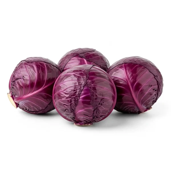 Fresh Red Cabbage 🇮🇷 – Premium Iran Imported | Crunchy Salad Essential UAE