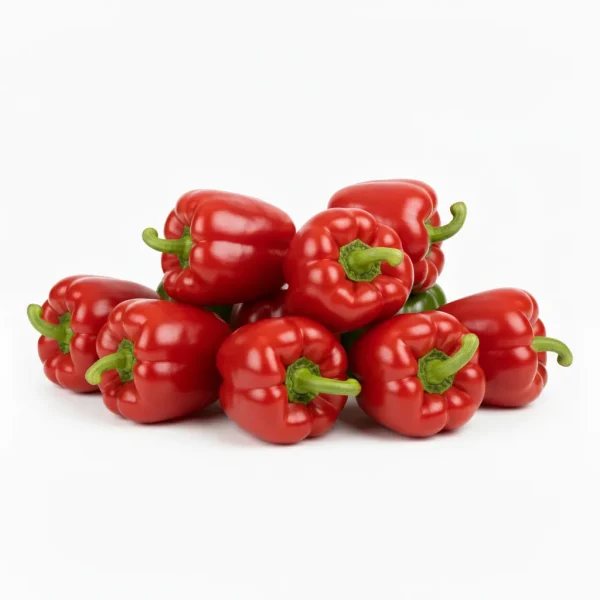 Fresh Red Capsicum 🇳🇱 – Premium Holland Imported | Sweet Red Bell Peppers UAE