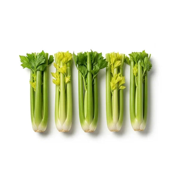 Fresh Australian Celery 🇦🇺 – Premium Quality Stalks | Buy Celery Online UAE