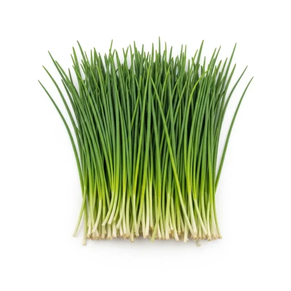 Fresh Chives Bunch 🇳🇱 – Premium Holland Imported | Delicate Onion Herb UAE