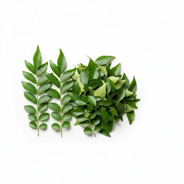Fresh Curry Leaves / Kadipatta 🇮🇳 – Authentic India Origin | Aromatic Cooking Herb