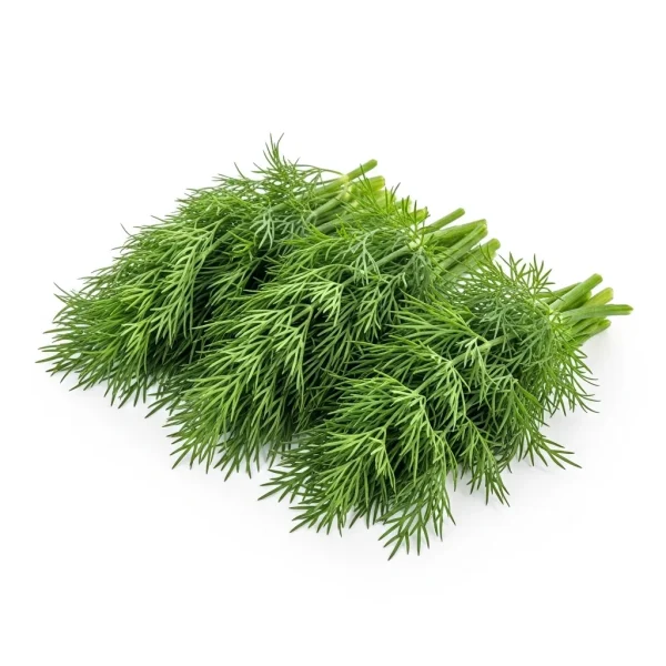 Fresh Dill Leaves 🇦🇪 – Locally Grown UAE | Aromatic Herb for Seafood