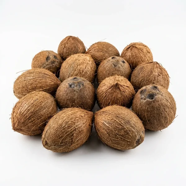 Dry Coconut (Piece) 🇱🇰 – High-Grade Sri Lankan Copra | Rich Organic Dried Coconut Dubai