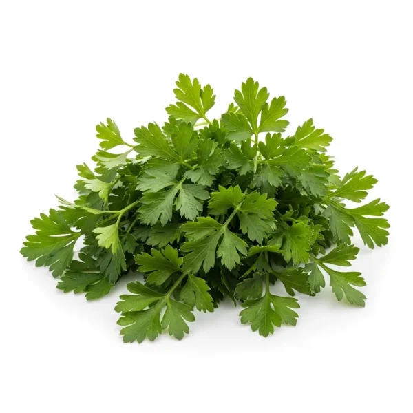Fresh Parsley 🇦🇪 – Locally Grown UAE | Aromatic Herb for Salads