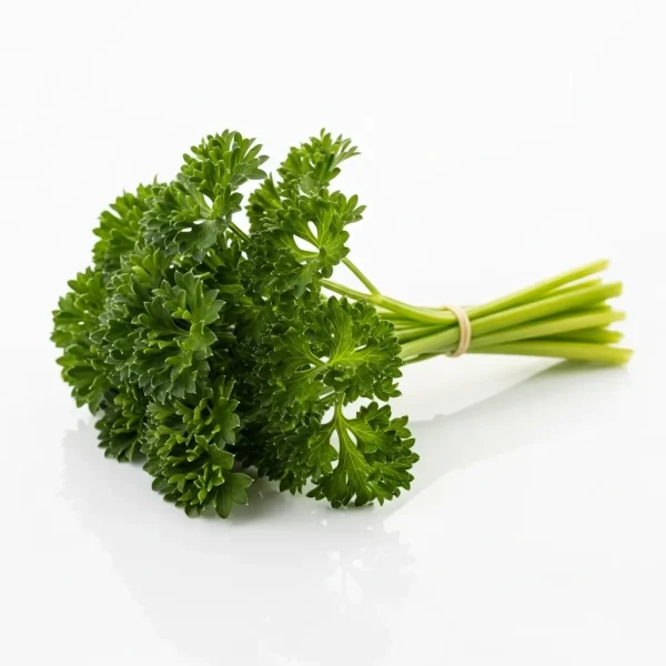 Fresh English Parsley 🇳🇱 – Premium Holland Imported | Flat-Leaf Parsley UAE