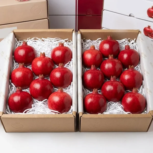 Pomegranate (Box) 🇮🇳 – Premium Indian Pomegranate Box | Bulk Sweet Ruby Red Fruits Dubai