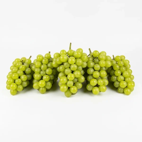 Fresh Green Grapes 🇺🇸 – Premium USA Imported | Crisp & Refreshing Seedless Grapes