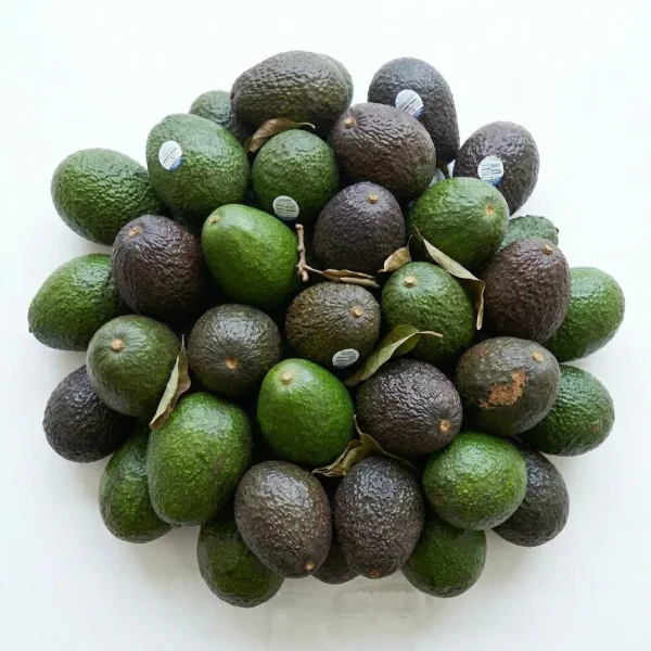 Fresh Hass Avocado (KG) 🇹🇿 – Premium Tanzanian Hass | Creamy Buttery Fresh Avocados Dubai