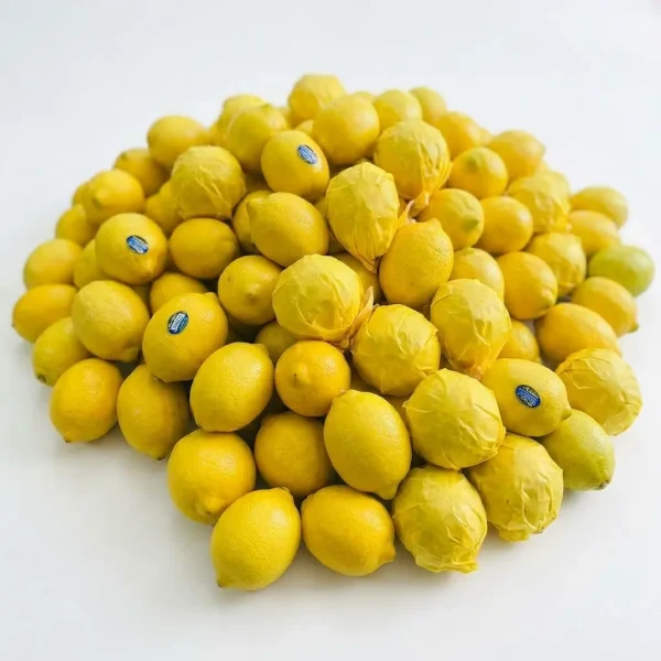 Lemon (KG) 🇿🇦 – Premium South African Gold Lemon | Clean Crisp Tart Citrus Dubai