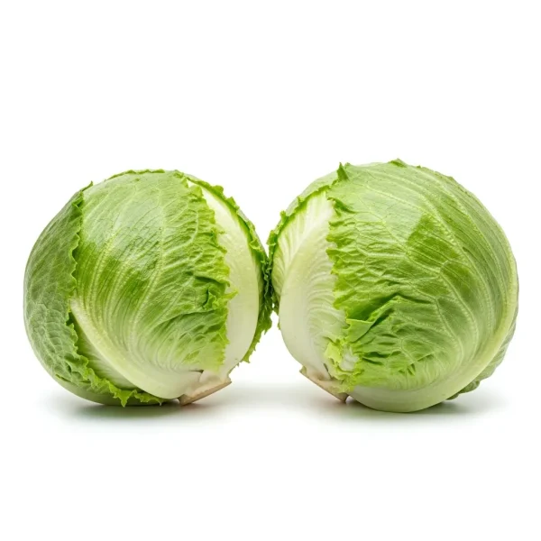 Fresh Iceberg Lettuce 🇳🇱 – Premium Holland Imported | Extra Crunchy Salad Greens