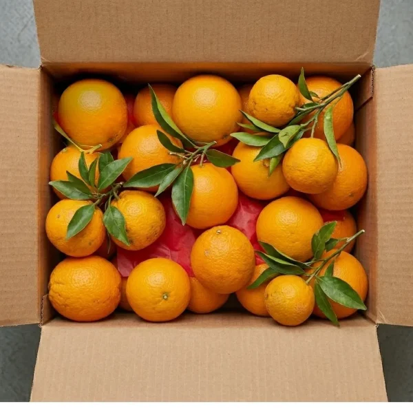 Navel Orange (KG) 🇨🇳 – Fresh Chinese Navel Orange | Sweet Seedless Citrus Fruits Dubai