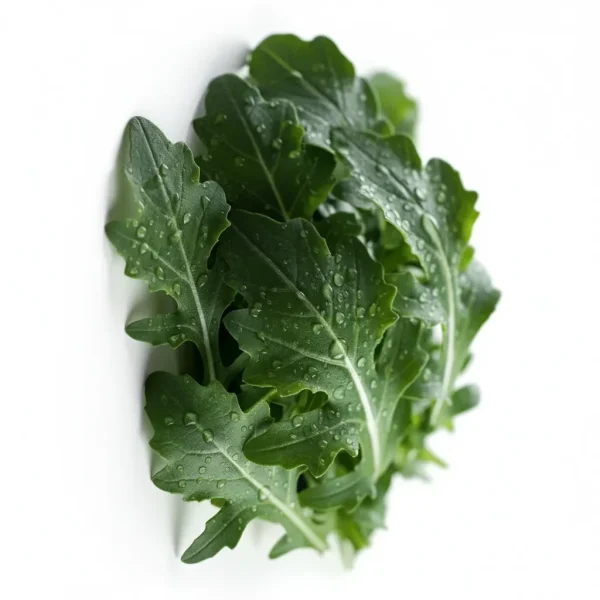 Fresh Rocca Leaves 🇦🇪 – Locally Grown UAE | Peppery Arugula / Jarjeer