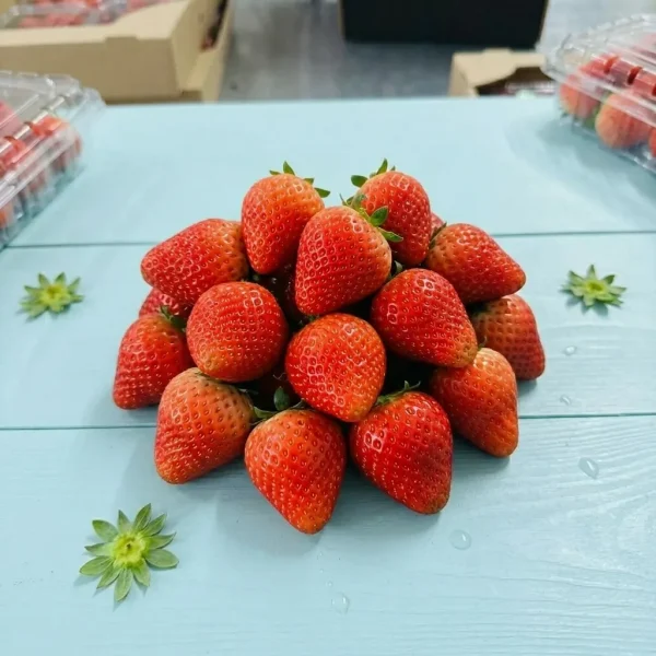 Fresh Strawberry (250g Pack) 🇿🇦 – Premium South African Strawberries | Crisp Sweet Fresh Berries Dubai