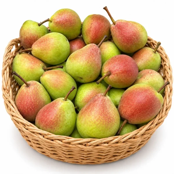 Fresh_pears.