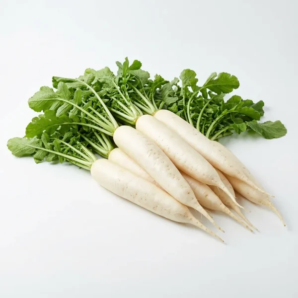 White Raddish (KG) 🇨🇳 – Fresh Chinese White Radish | Crisp Healthy Cooking Vegetables Dubai