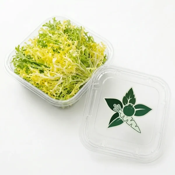Fresh Yellow Frisée Lettuce 🇳🇱 – Premium Holland Imported | Gourmet Salad Greens UAE