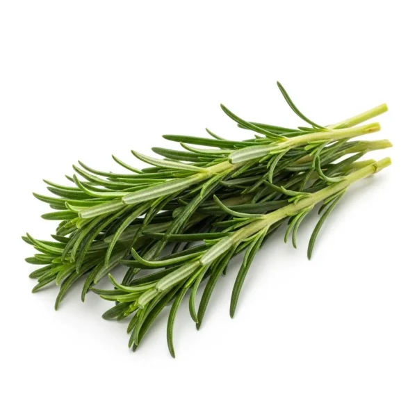 Fresh Zaater Leaves 🇦🇪 – Locally Grown in UAE | Aromatic Herb for Fatayer