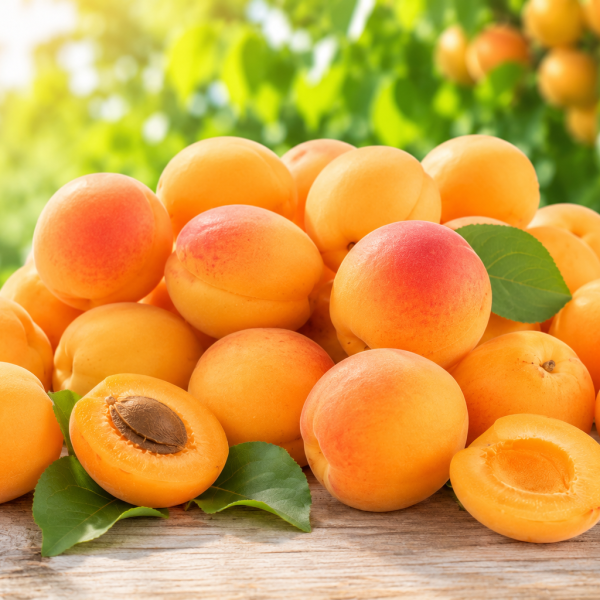 Apricot Fresh 🇵🇰 – Premium Pakistan Origin | Premium Pakistani Apricots, Naturally Sweet, Rich Natural Flavor Apricot PAK.