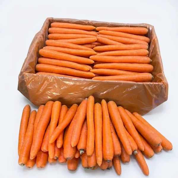 Fresh Australian Carrots 🇦🇺 – Premium Import | Crunchy & Sweet Root Vegetables