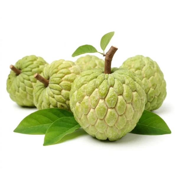 Custard Apple (500g) 🇧🇷 – Premium Brazil Imported Custard Apple | Sweet Creamy Tropical Cherimoya Dubai