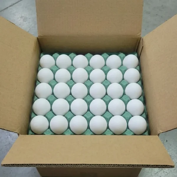 White Eggs (Box) 🇵🇰 – Fresh Pakistani White Eggs | High Protein Farm Fresh Eggs Dubai