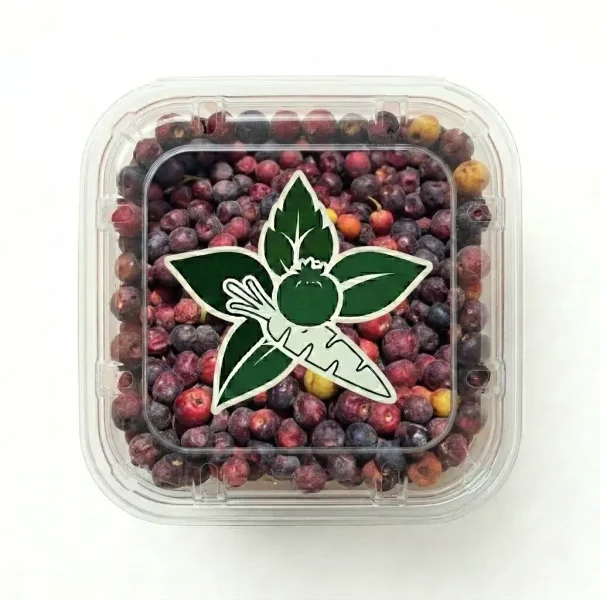 Falsa (500gm Box) 🇵🇰 – Fresh Pakistani Falsa Berries | Tangy Sweet Cooling Superfruits Dubai