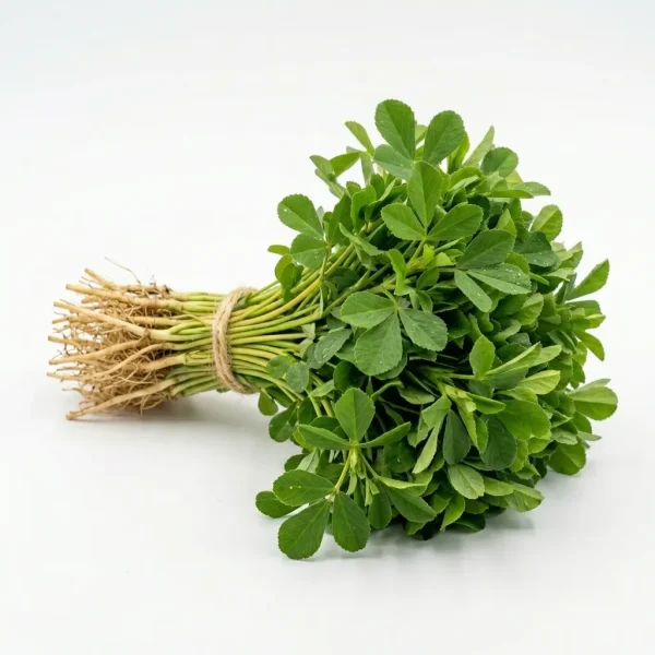 Fresh Fenugreek Leaves Methi (250g) 🇦🇪 🇴🇲 – Locally Grown Regional Greens | Aromatic Bitter-Sweet Cooking Herbs Dubai