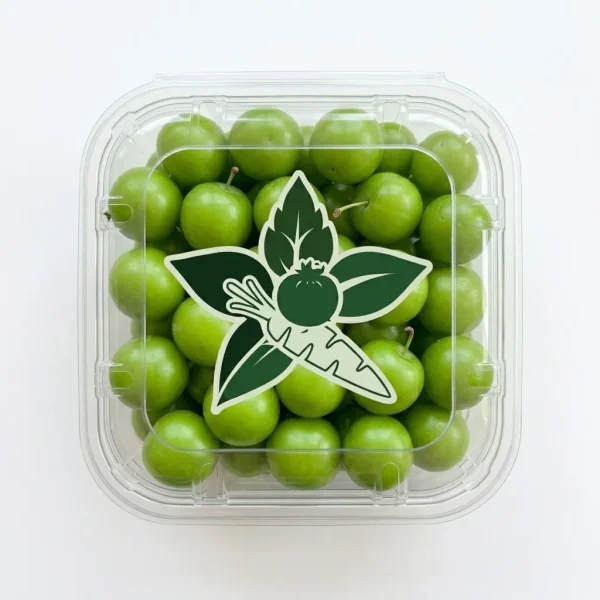 Green Plum Janerik (250g Pack) 🇱🇧 – Premium Lebanon Imported Janarek | Crisp Tart Sour Stone Fruits Dubai