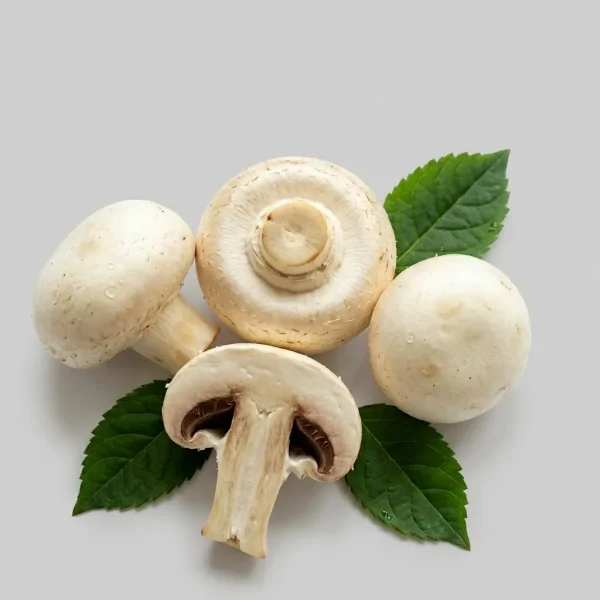 White Button Mushroom (250g) – Premium Fresh White Mushrooms | Firm Earthy Culinary Cooking Mushrooms Dubai