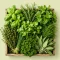Fresh Herb