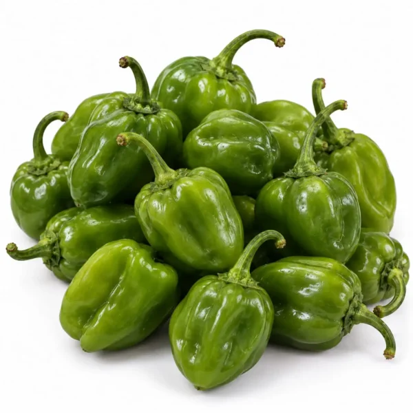 Habanero Green (100 Gram) 🇳🇱 – Premium Dutch Imported Habanero Green | Crisp, Nutrient-Rich Vegetables Dubai