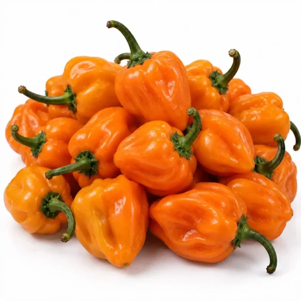 Habanero Orange (100 Gram) 🇳🇱 – Premium Dutch Imported Habanero Orange | Crisp, Nutrient-Rich Vegetables Dubai