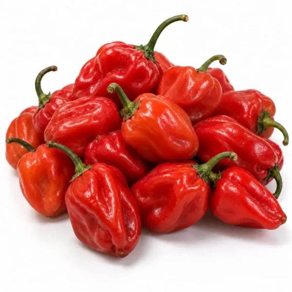 Habanero Red (100 Gram) 🇳🇱 – Premium Dutch Imported Habanero Red | Crisp, Nutrient-Rich Vegetables Dubai