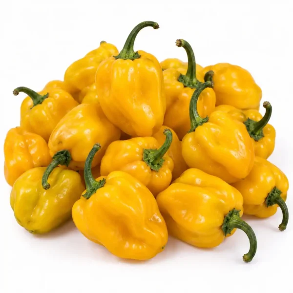 Habanero Yellow (100 Gram) 🇳🇱 – Premium Dutch Imported Habanero Yellow | Crisp, Nutrient-Rich Vegetables Dubai