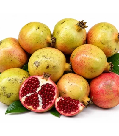 Yaman Pomegranate