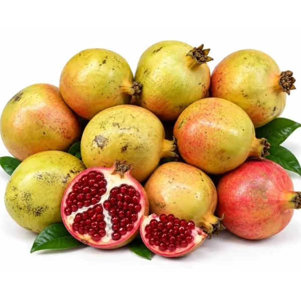 Yaman Pomegranate