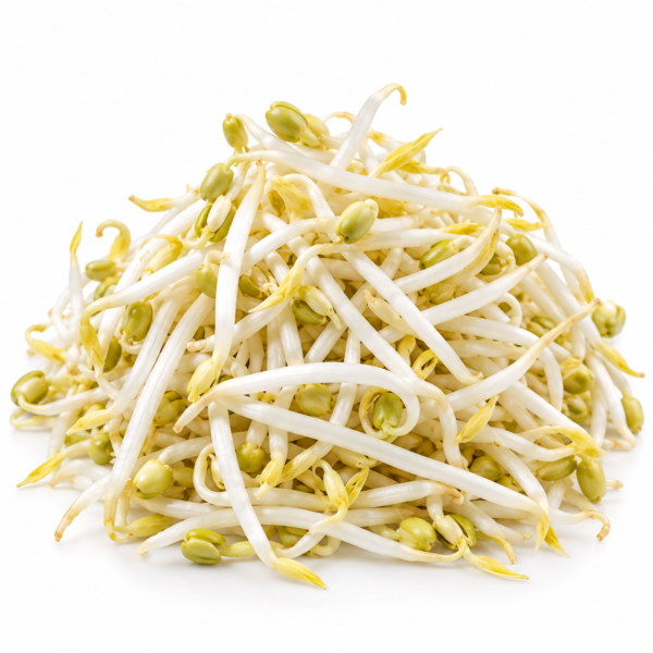 Beans Sprouts 250 Gram (250 Grams) – Premium Fresh Beans Sprouts 250 Gram | Aromatic & Full of Flavour Dubai