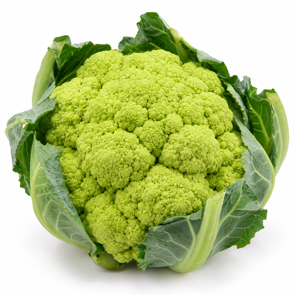 cauliflower green holland Cauliflower Green (1 Kg) 🇳🇱 - Premium Dutch Imported Cauliflower Green | Crisp, Nutrient-Rich Vegetables Dubai - Image 1