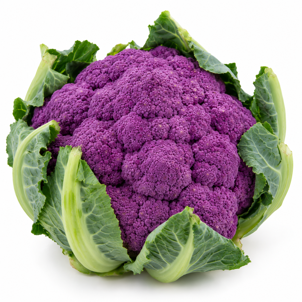 cauliflower purple holland Cauliflower Purple (1 Kg) 🇳🇱 - Premium Dutch Imported Cauliflower Purple | Crisp, Nutrient-Rich Vegetables Dubai - Image 1