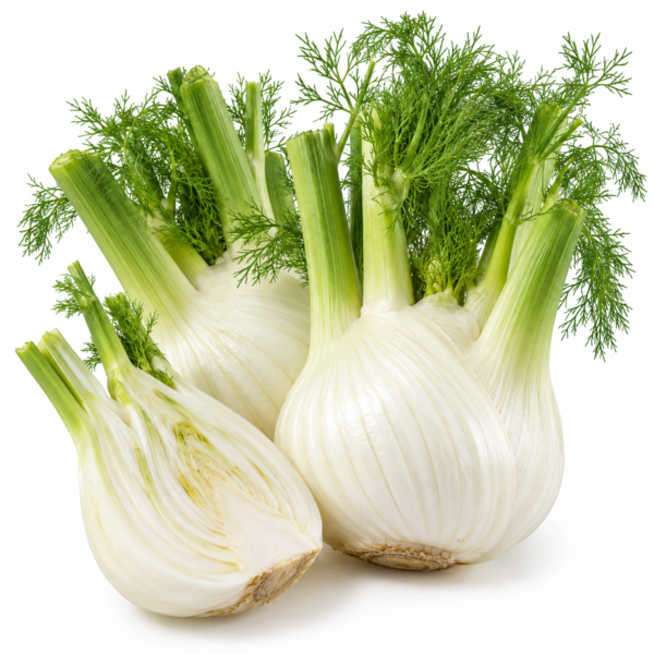 Fennel Europe (1 Kg) – Premium Fresh Fennel Europe | Aromatic & Full of Flavour Dubai