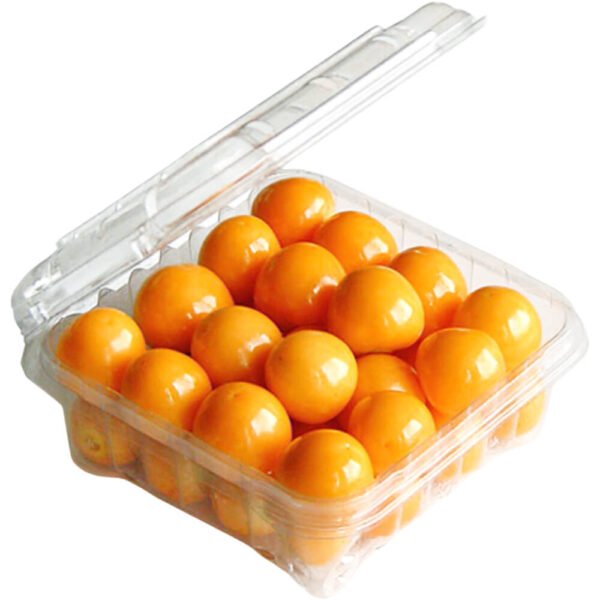 Golden Berries (125 Gram) – Fresh Premium Quality | Sweet Fresh Fruits Dubai