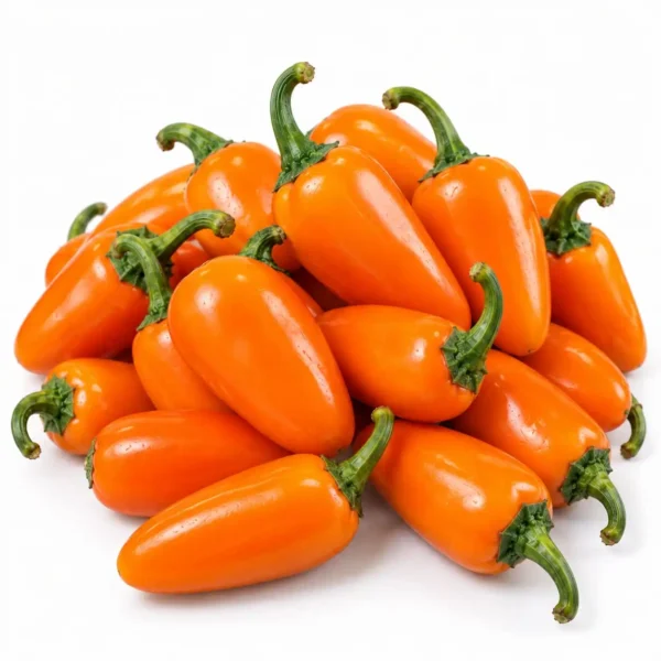 Jalapeno Orange (300 Gram) 🇳🇱 – Premium Dutch Imported Jalapeno Orange | Crisp, Nutrient-Rich Vegetables Dubai