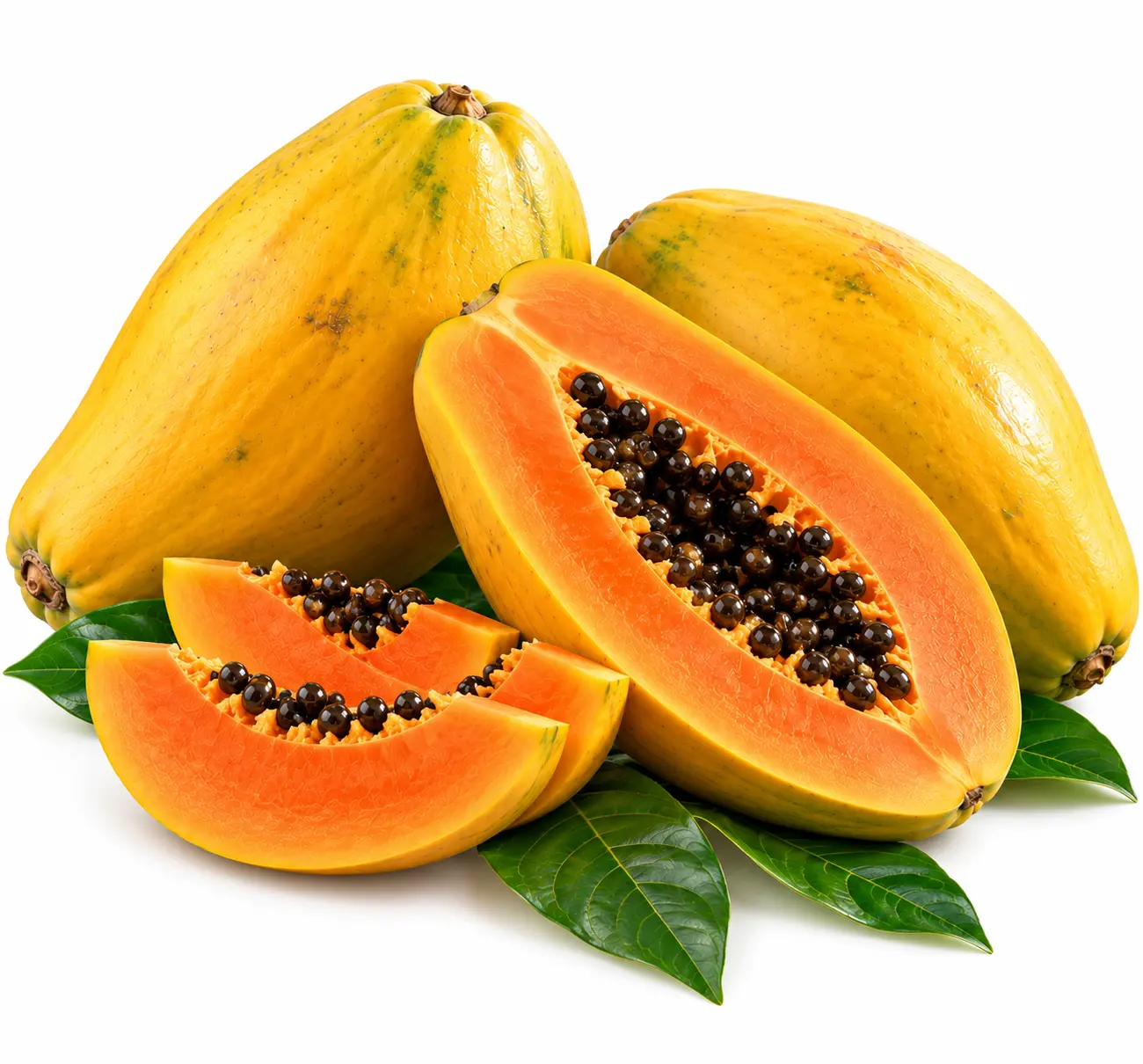 Papaya Papaya