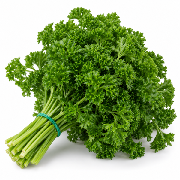 Parsley English Curly Leaves Europe (250 Gram) – Premium Fresh Parsley English Curly Leaves Europe | Aromatic & Full of Flavour Dubai