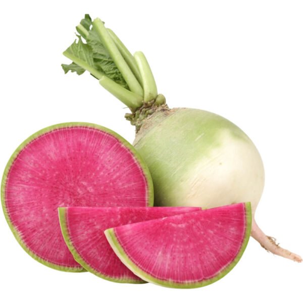 Watermelon Radish (0.50 Kg) – Fresh Premium Quality | Crisp Fresh Vegetables UAE