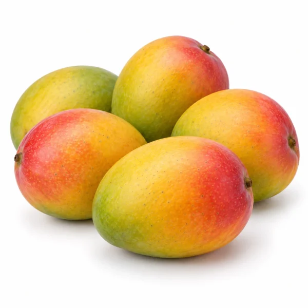 Kent Mango (Brazil) 🇧🇷 - Premium Brazil Imported Kent Mango | Fresh Mangoes Dubai
